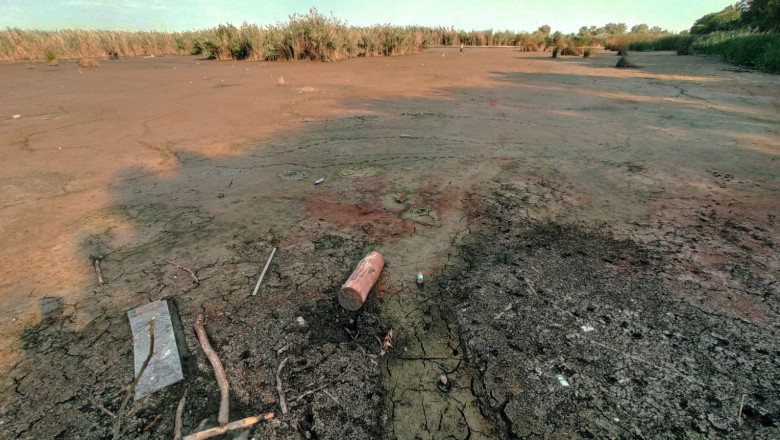 Efectul schimbarilor climatice. Lacul Comana a secat din cauza arsitei Imagine
