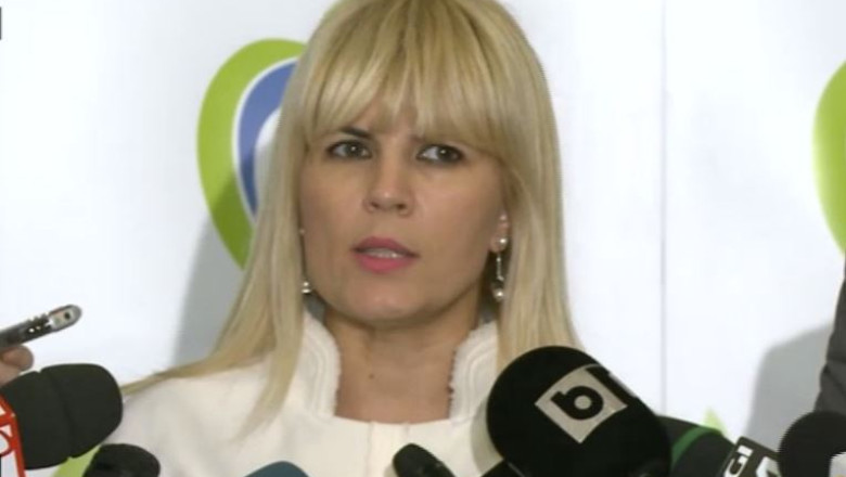 Elena Udrea a anuntat un miting al PMP impotriva accizei de 7 eurocenti Imagine