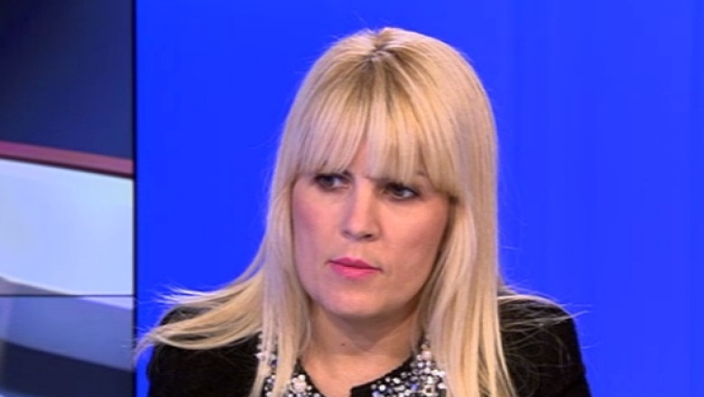 Elena Udrea: „Ar fi catastrofal ca Romania sa cada sub ocupatia PSD” Imagine