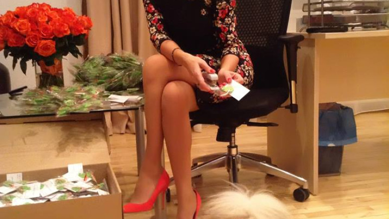 Elena Udrea, candidatul PMP la prezidentiale. Doar Cristian Preda a votat impotriva Imagine