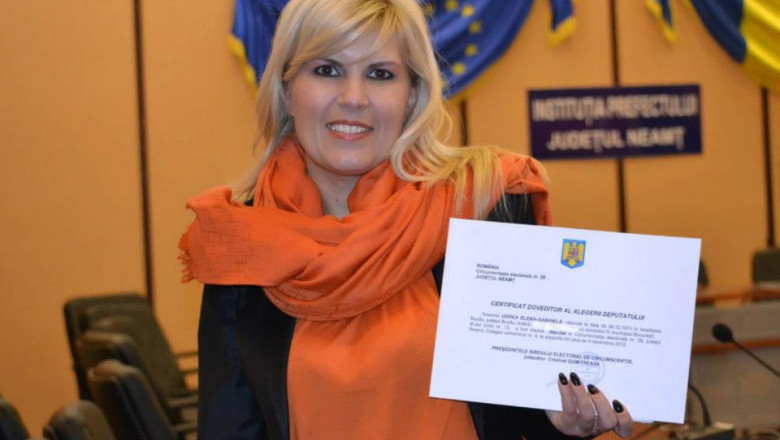 Elena Udrea: Mi-am dorit sa raman un simplu membru PDL Imagine