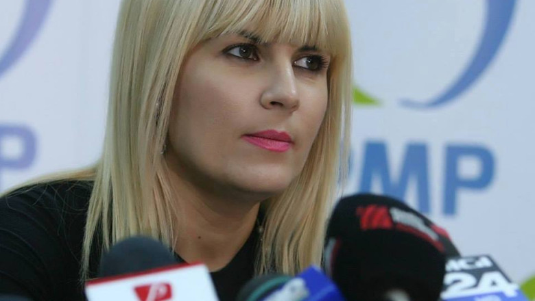 Elena Udrea: Partidele de dreapta nu se vor uni din cauza resentimentelor personale si a slabelor caractere Imagine