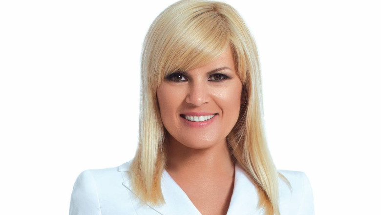 Elena Udrea, reactie la nominalizarea lui Hellvig: Il felicit pe Dan Voiculescu! Imagine