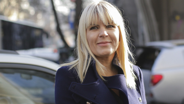 Elena Udrea scapa definitiv de dosarul privind mita de 5 milioane de dolari. Faptele s-au prescris Imagine