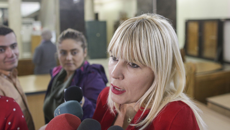 Elena Udrea si-a retras cererea de liberare conditionata. Ce plan are fostul ministru al Turismului (surse) Imagine