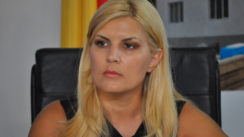 Elena Udrea: Si eu hranesc cainii din jurul casei, ceea ce probabil nu ar trebui sa fac Imagine