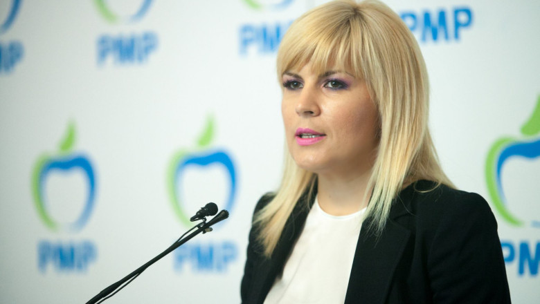 Elena Udrea spune ca "cel mai probabil" nu va mai candida la sefia PMP - presa  Imagine