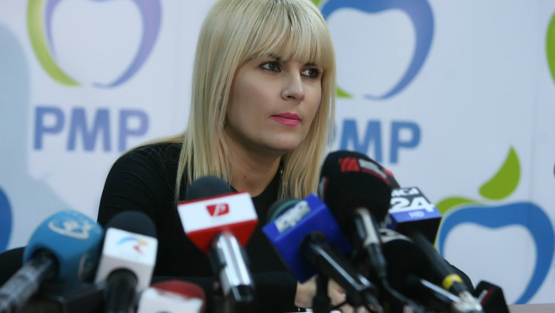 Elena Udrea: Sunt de acord cu propunerea ca o persoana aflata sub control judiciar sa nu aiba voie sa vorbeasca in public despre dosar Imagine