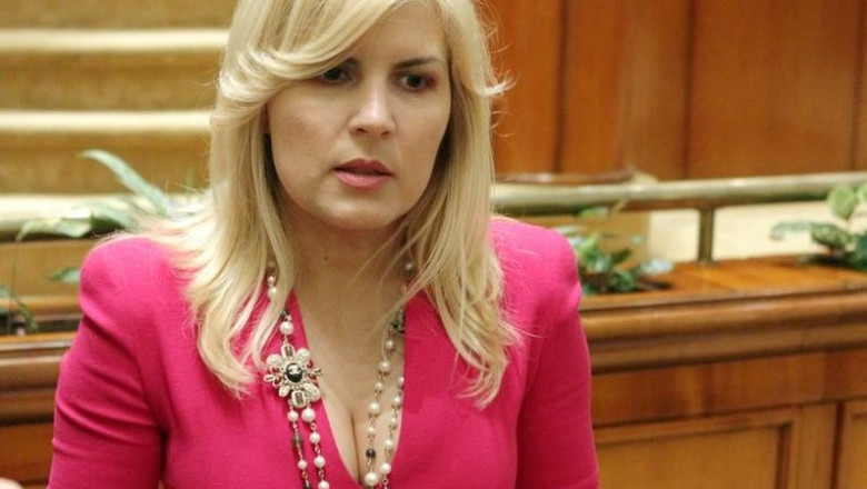Elena Udrea, un nou mesaj pe Facebook din arest: „Sunt „tocata” sistematic” Imagine