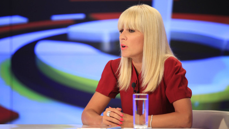 Elena Udrea vrea sa investeasca in agricultura. A cumparat deja terenuri in Calarasi si Giurgiu  Imagine