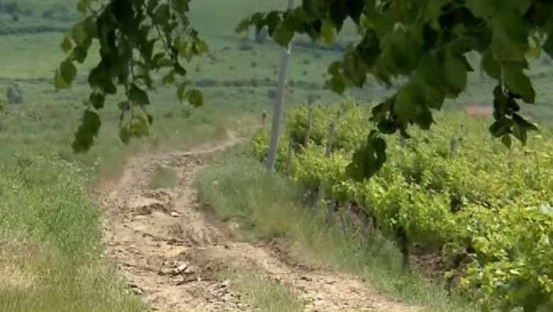 Elevi raniti de un adolescent baut. Baiatul de 17 ani conducea fara permis masina tatalui sau Imagine