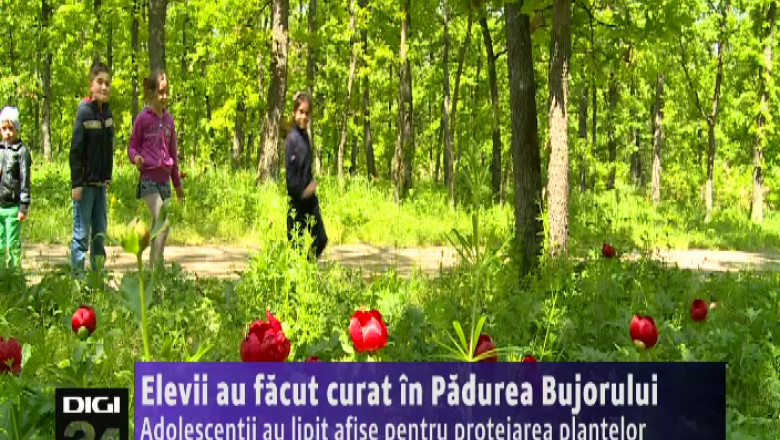 Elevii au facut curat in Padurea Bujorului Imagine