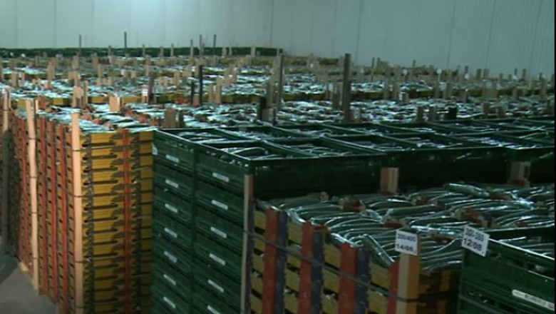 Embargoul Rusiei strica legumele romanesti. Producatorii estimeaza pierderi de 41 de milioane de euro Imagine