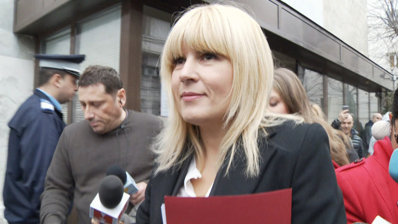 Emil Boc: "Elena Udrea isi va demonstra nevinovatia" Imagine