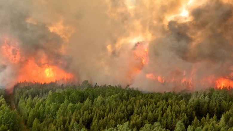 Emisiile de carbon provocate de incendiile din Canada au atins o cantitate record in 2023, arata un raport Copernicus Imagine