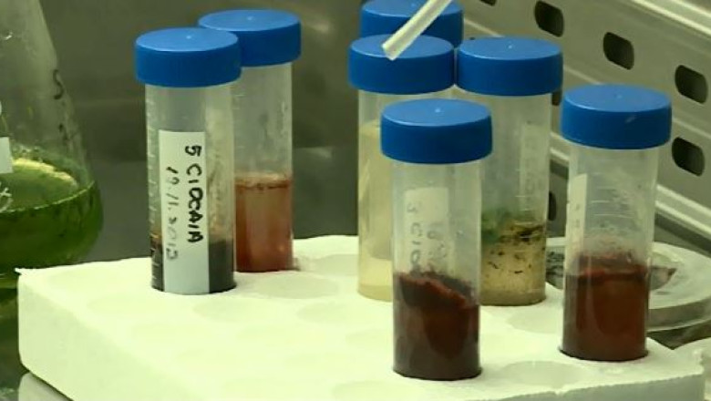 Energia viitorului, studiata in Jibou Imagine