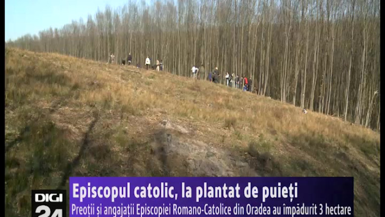 Episcopul catolic, la plantat de puieti. Preotii Episcopiei Romano-Catolice din Oradea au impadurit 3 hectare in Bihor Imagine