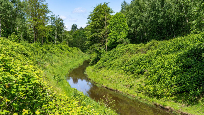 „Era insalubru si mirosea ingrozitor”. Cum a fost readus la viata cel mai murdar rau din Europa Imagine