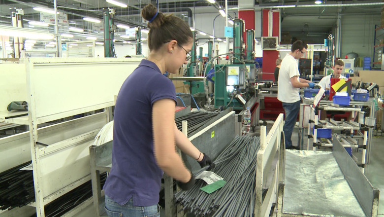 Esti absolvent, iti gasesti de lucru, iei 500 de lei prima! Imagine