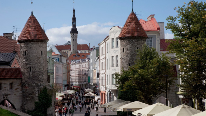 Estonienii urmaresc pe o aplicatie cum le zboara banii din buzunar. Ceea ce ii sperie insa nu este inflatia Imagine