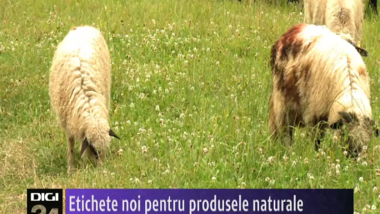Etichete noi pentru produsele naturale Imagine