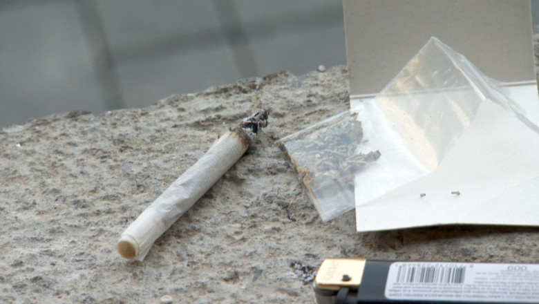 Etnobotanicele, o problema nerezolvata. Peste 600 de tineri din Vaslui si Iasi, la spital dupa consumul de droguri Imagine