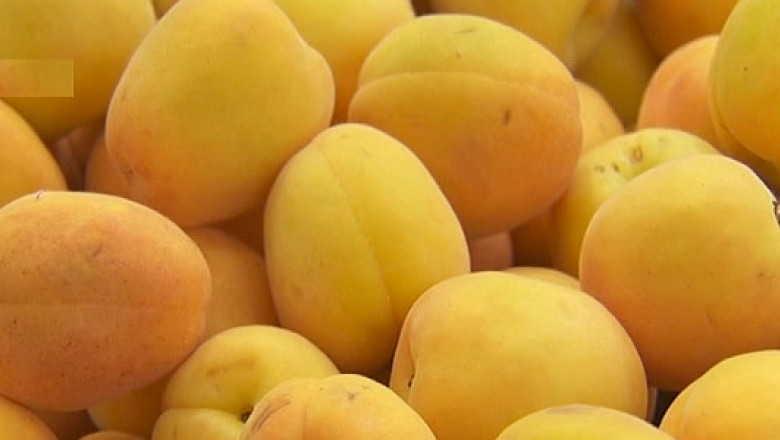 Evaziunea fiscala in agricultura: 1 miliard de euro prejudiciu Imagine