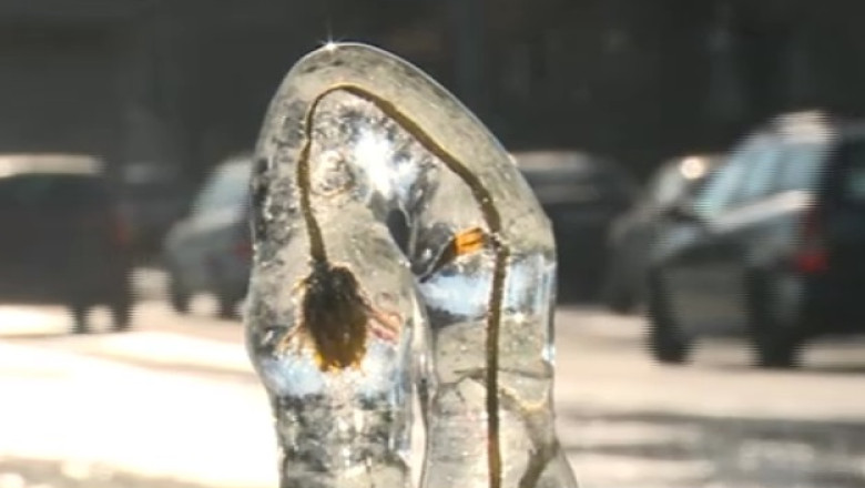 Exces de zel pe ger. Angajatii primariei au pornit sistemul de irigare a spatiului verde Imagine