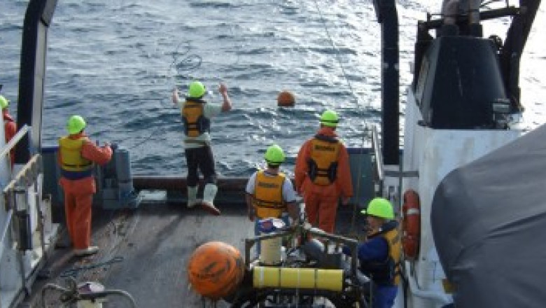 Experiente de pe mare. Profesionistii au dat sfaturi colegilor tineri Imagine