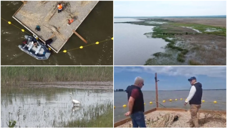 Experiment inedit in Dolj: insule artificiale pentru atragerea pasarilor salbatice, pe cel mai mare lac din judet. „E doar inceputul”