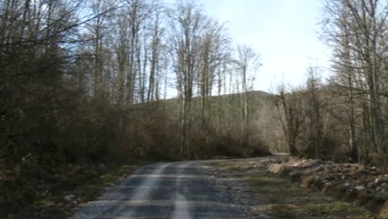 Expertiza. Retrocedarile de la Nadas au fost facute cu acte false Imagine