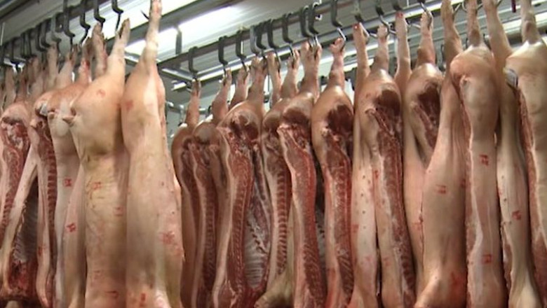 Exportul de carne de porc, reluat. In sapte ani de restrictii, producatorii din Timis au suferit pierderi importante Imagine