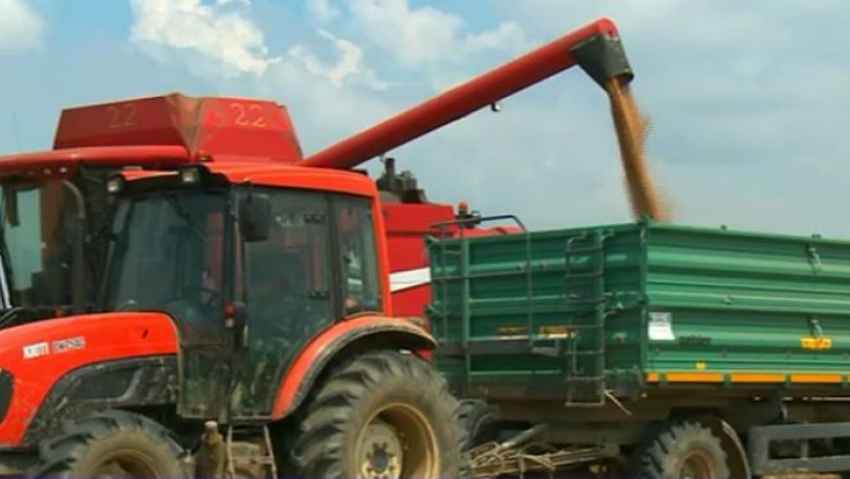 Exporturile de produse agroalimentare au depasit, pentru prima data in doua decenii, importurile Imagine