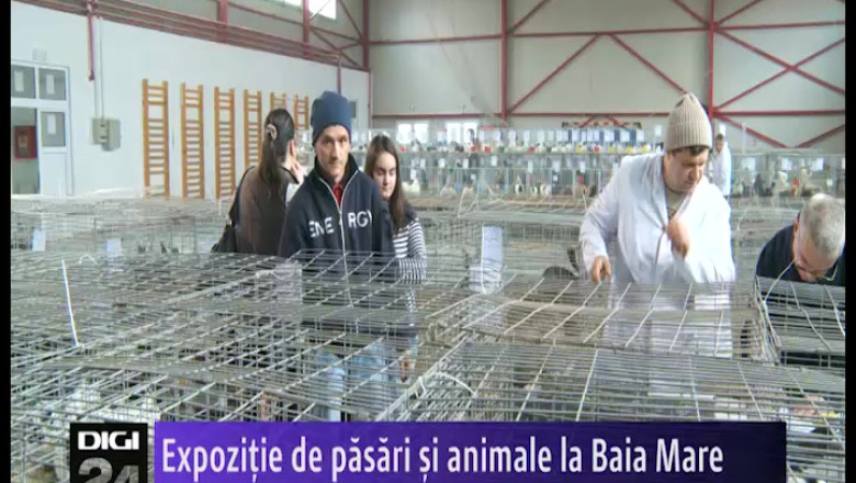 Expozitie de pasari si animale la Baia Mare  Imagine