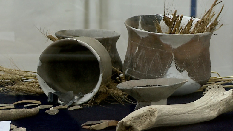 Expozitie de piese rare Imagine