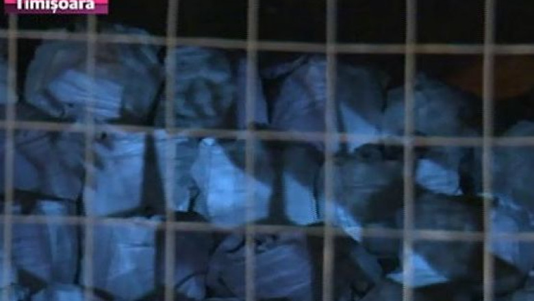 Expozitie... pe saci, in santier. Fotografiile actritei Olga Torok, proiectate in Piata Unirii din Timisoara Imagine