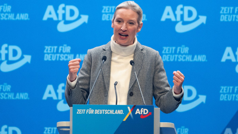 Extrema dreapta germana anunta planuri radicale. Sefa AfD: Vom redeschide Nord Stream si vom darama turbinele eoliene Imagine