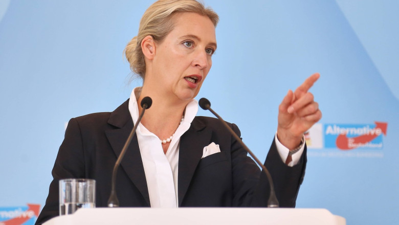 Extrema dreapta urca pe primul loc in preferintele germanilor. AfD, inaintea cancelarului Merz (sondaj) Imagine