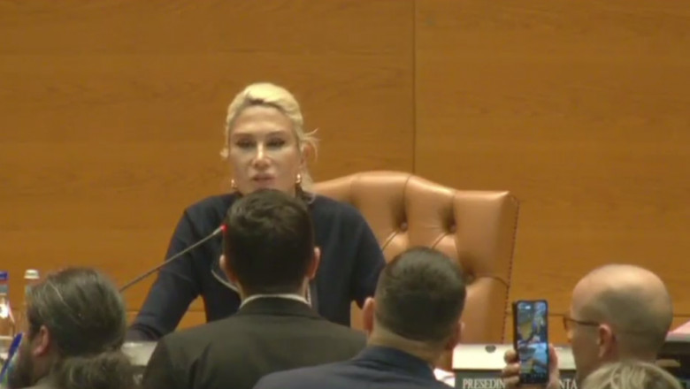 Extremistii, nou scandal in Parlament. Turcan: Nu cedez intimidarilor, nu ma impresionati Imagine