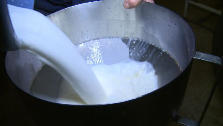 Fabrica de branzeturi de la taga se redeschide luna aceasta Imagine