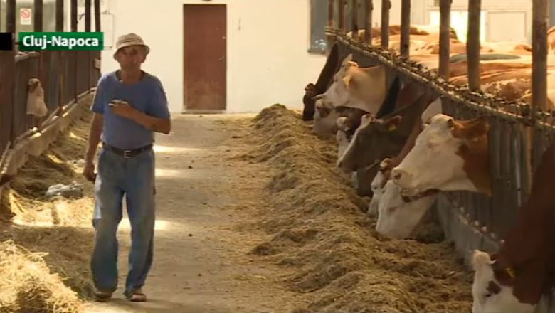 Fabrica de branzeturi de la taga se va redeschide in cel mult doua luni Imagine