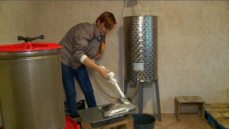 Fabrica de mere din gradina botanica Imagine