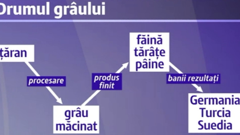 Faina si paine fara acte. O retea specializata in evaziune fiscala a prejudiciat statul cu 18 milioane de euro Imagine