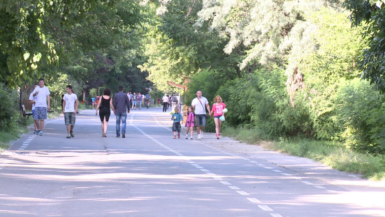 Faleza Dunarii, fara priveliste la fluviu. Din cauza plantelor si copacilor crescuti prea mult, Dunarea nu se mai vede Imagine
