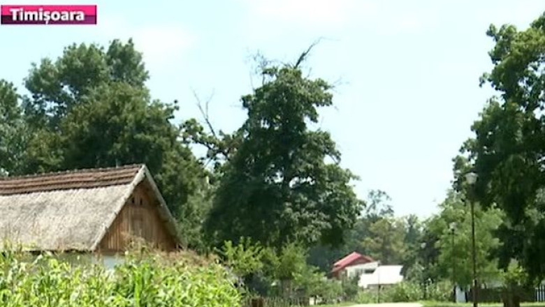 Familii angajate sa dea viata "Muzeului Viu" de la Timisoara Imagine