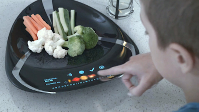 Farfuria inteligenta. Proiectul unei tinere din Timisoara a ajuns in finala unui concurs international Imagine