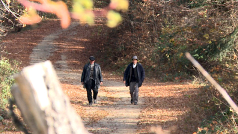 Fata Rosie, jud. Hunedoara. Vot, la kilometri distanta Imagine