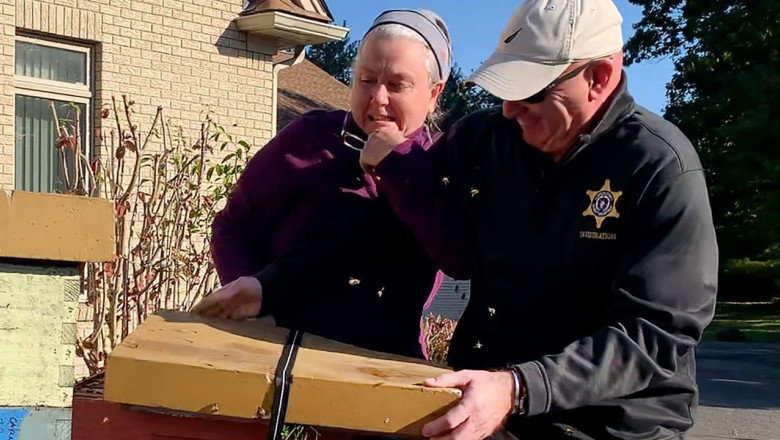 Femeie acuzata ca a atacat mai multi politisti folosindu-se de un roi de albine. Ce s-a intamplat Imagine