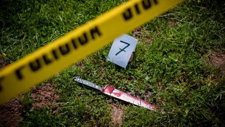 Femeie din Maramures, retinuta dupa ce si-ar fi ucis iubitul, cu 10 ani mai tanar decat ea Imagine