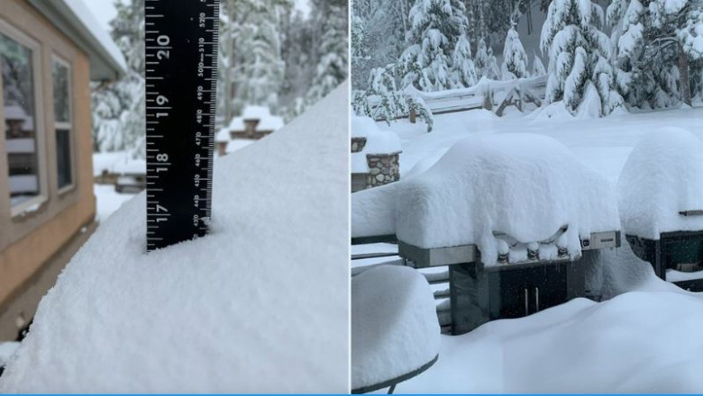 Fenomen neobisnuit in Colorado, SUA. Ninsori si temperaturi care au scazut de la 30 de grade Celsius pana la limita inghetului Imagine